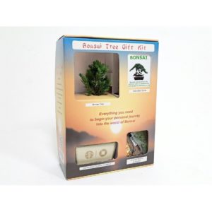 Bonsai Tree Gift Kit Package