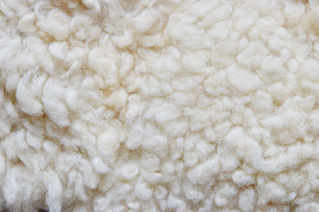 White soft wool background, natural sheepskin rug
