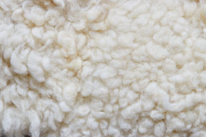 White soft wool background, natural sheepskin rug